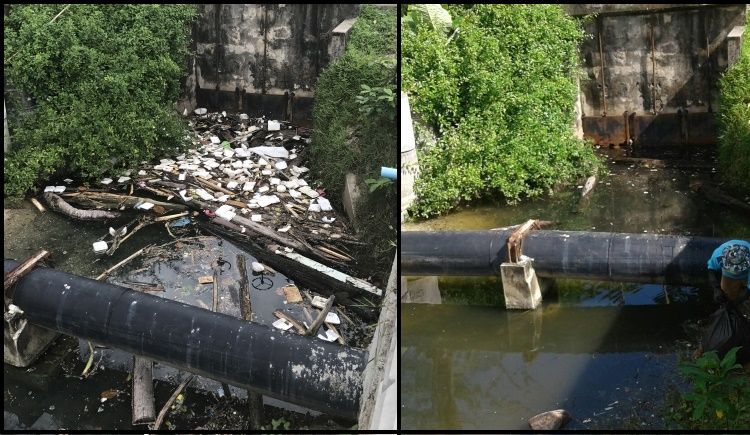 Муниципалитет Карона оперативно очистил от мусора канал у северной части пляжа после получения фотографий, на которых были запечатлены десятки плававших в воды пластиковых контейнеров из-под еды и другой мусор