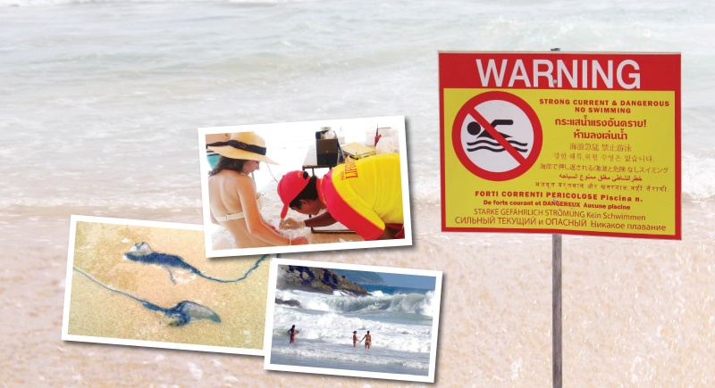 Опасный сезон: Главные пляжные угрозы на Пхукете