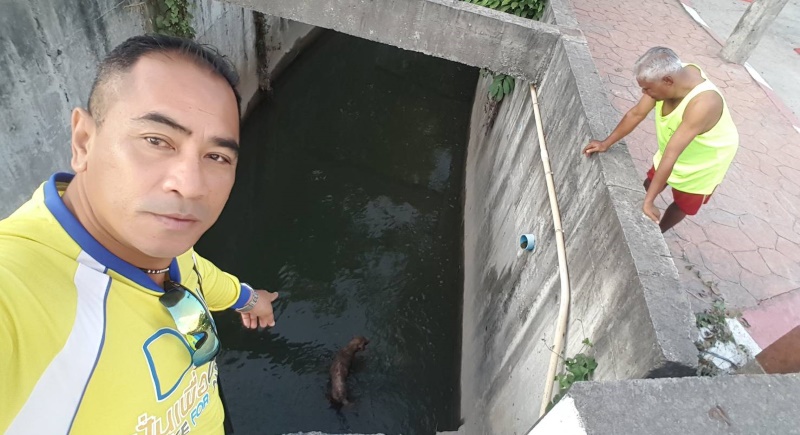 В Чалонге спасли упавшую в канал собаку