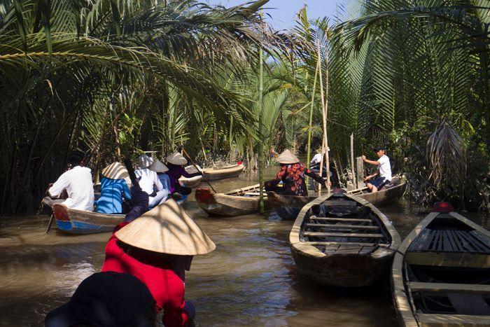 Ученые открыли 157 новых видов животных и растений у реки Меконг