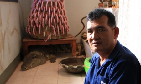 В доме жителя Таиланда 20 лет живет крокодил. Хозяин говорит, что рептилия еще никого не обидела