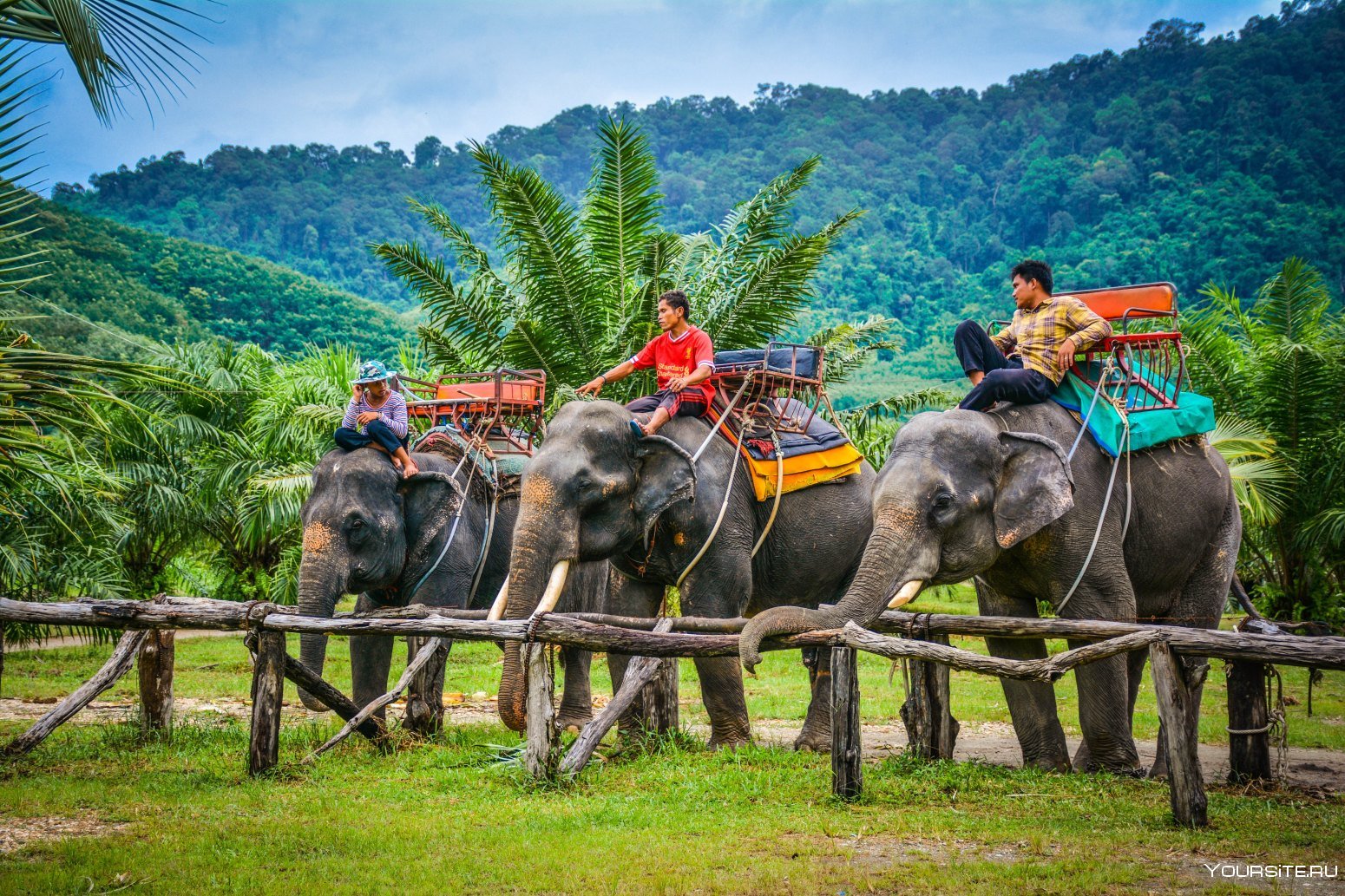 Туризм Таиланда планирует привлечь больше туристов из Индии