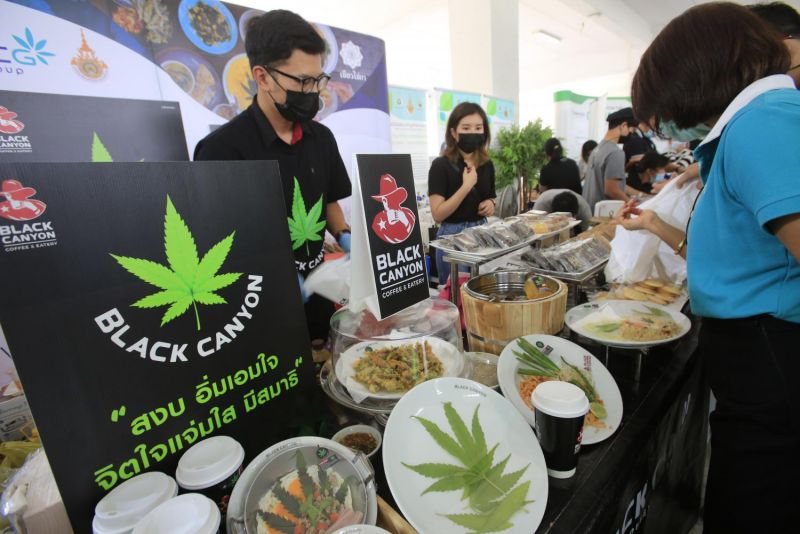 Власти Таиланда начнут борьбу с легальной марихуаной