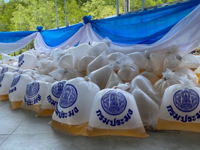 Пхукетский офис Департамента рыболовства совместно с муниципалитетом Вичита выпустил в море 500 тыс. мальков креветок