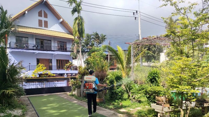 Муниципалитеты Пхукета активизируют усилия по противодействию вирусам денге и чукунгунья