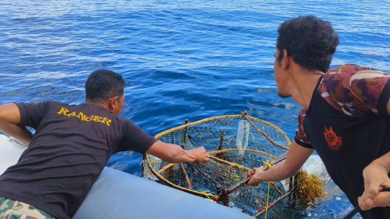 Сотрудники морского нацпарка на Суринских островах спасли черепаху, попавшую в рыболовную ловушку