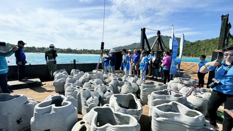 Департамент морских и прибрежных ресурсов (DMCR) продолжает работу по восстановлению кораллов