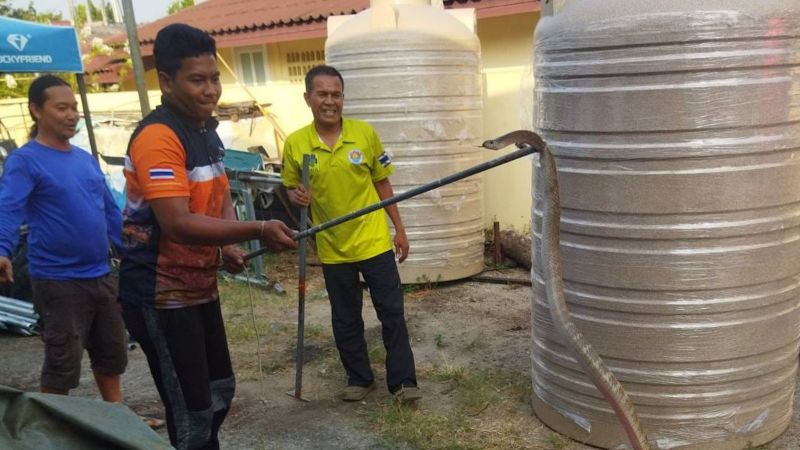Сотрудники муниципальной службы спасения Вичита  избавили жителя Soi Thepanusorn от змеи