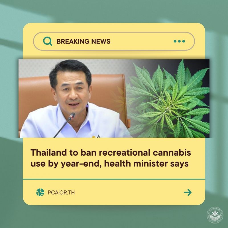 Новый глава Минздрава Сомсак Тхепсутин заявил, что марихуана будет возвращена в список наркотиков в Таиланде до конца 2024 года