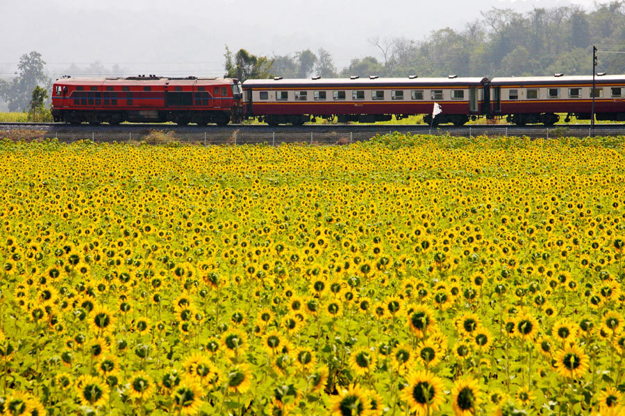 Тайские железные дороги запускают продажу билетов онлайн