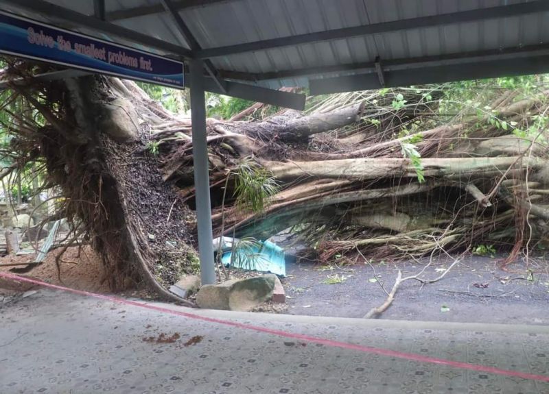 Муниципалитеты Пхукета продолжают ликвидацию последствий шторма, обрушившегося на остров ночью 17 июля