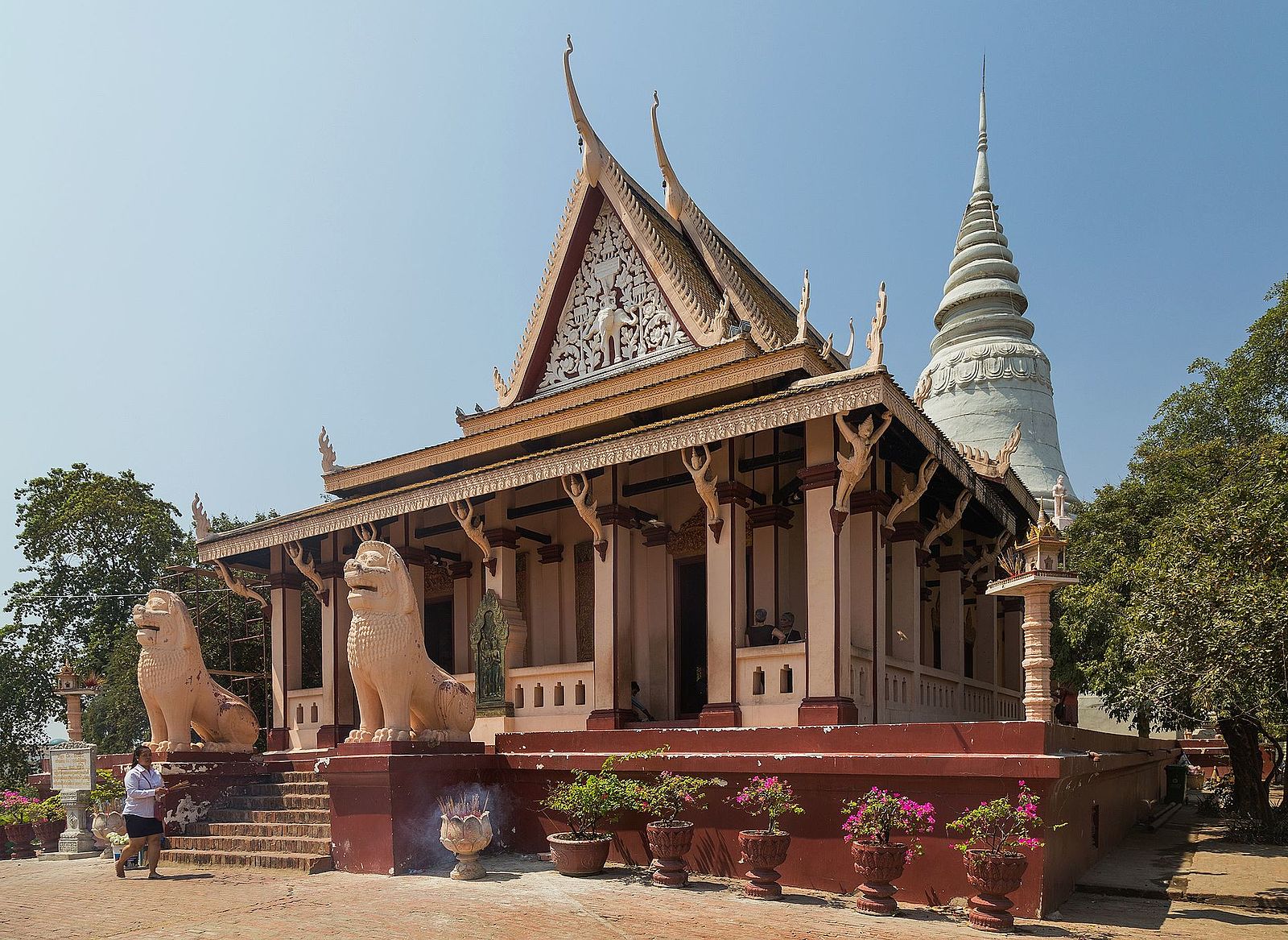 Власти Камбоджи выселили агрессивных обезьян из знаменитого храма