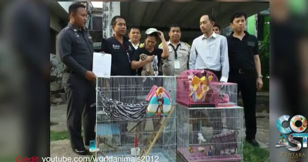 Red Bull heir alleged cop killer, free emergency care, Phuket rains || March 29