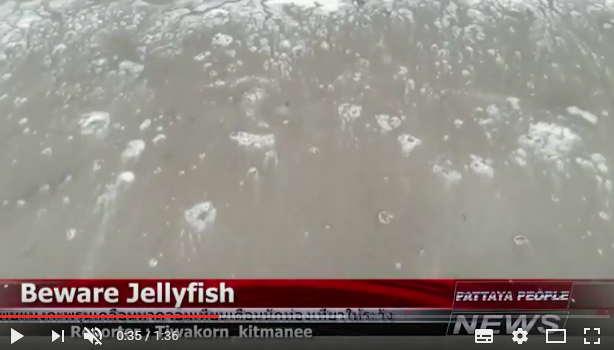 Beware Jellyfish