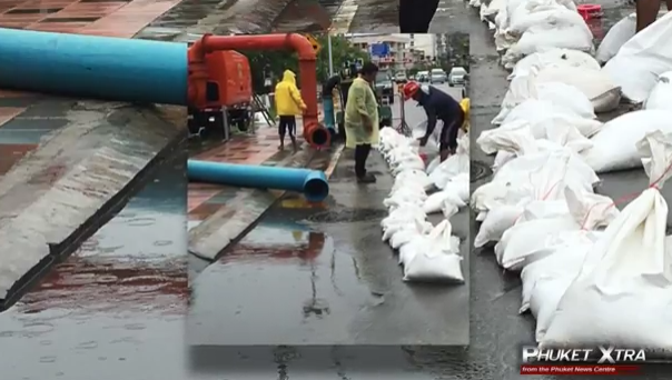 Soi dog smart vests! Taxi drivers pay up? Wet Phuket