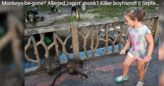 Monkeys-be-gone? Alleged 'rapist' monk? Killer boyfriend!