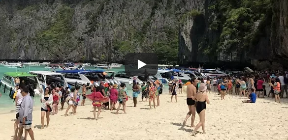 Maya Bay to close! Bus driver asleep? Thailand is 'least miserable!