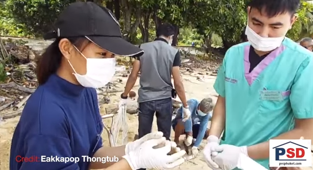 Sophia, the robot! Toddler saved during storm? Surin Beach dolphin! || Phuket