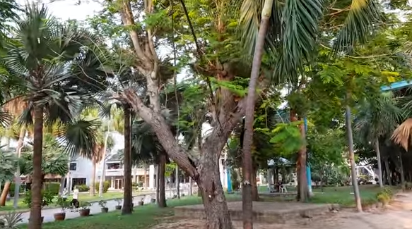 Паттайя Парк Pattaya Park 2018