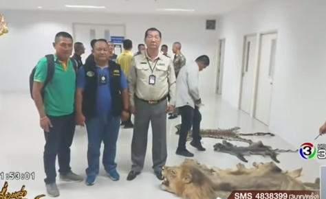 Fake general swindling for animals skins? WCGC Thailand Final! Heavy storms coming! || Phuket