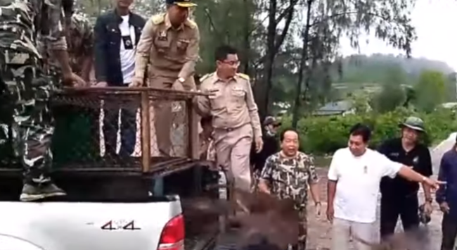 Wild monkeys rising! Climate strikers 'drop dead'? Interpol look for fugitive tourist! || Phuket