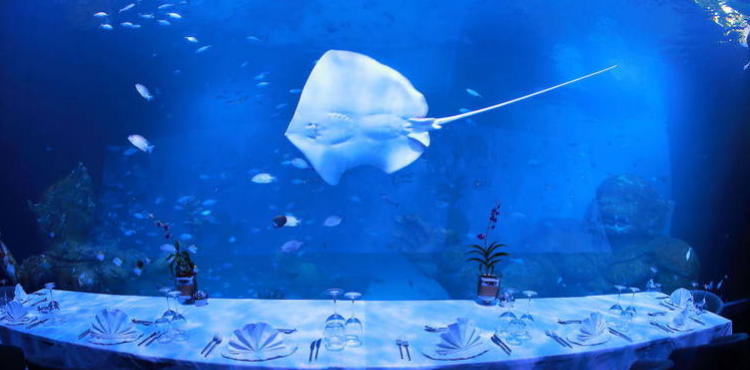 В Таиланде открылся крупнейший аквариум и первый подводный ресторан