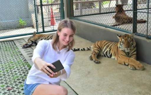 New Tiger Park backlash! Stepson charged over stepdad murder? || Phuket
