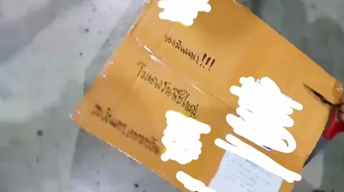 В Таиланде из посылки вылез трехметровый питон и напугал работников почты