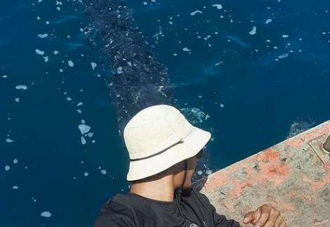 Рыбака из Таиланда удивила "дружелюбная" китовая акула