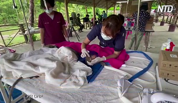 В Таиланде изъяли у контрабандистов более 100 яванских макак