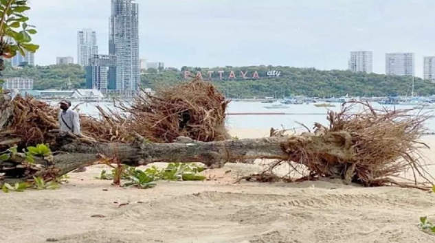 Критики против благоустройства пляжа Паттайи в условиях голода и безработицы жителей