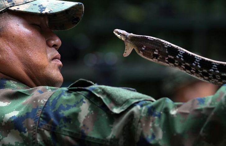 США и Таиланд планируют возобновить полномасштабные военные учения Cobra Gold