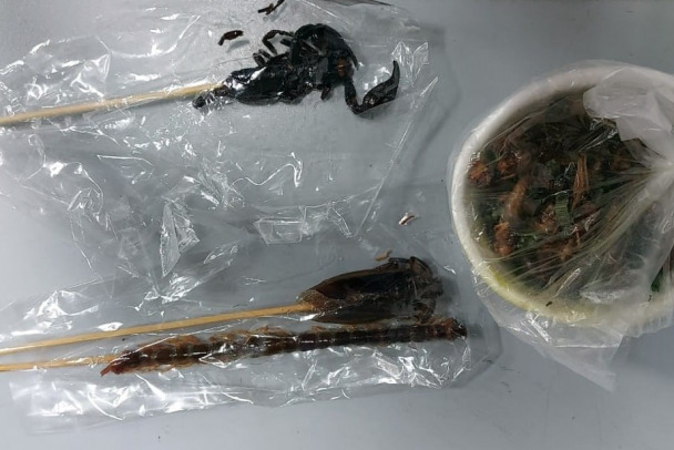 Россиянин привез из Таиланда шашлык из скорпиона, в аэропорту не оценили
