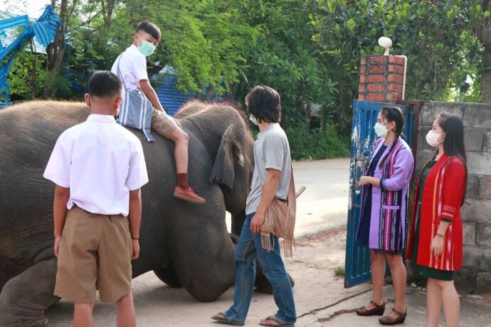 Школьники едут в школу на слонах на севере Таиланда