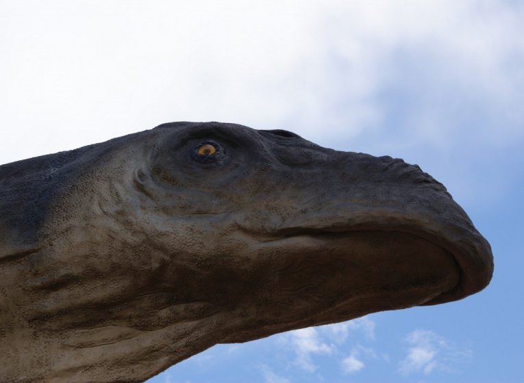 Ваюраптор — одиннадцатый динозавр в Таиланде