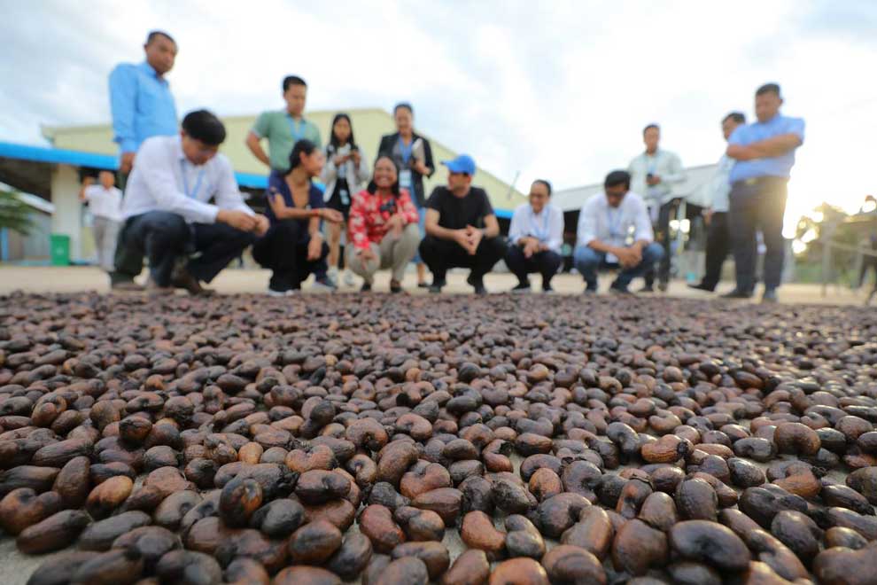 Камбоджа стремится доминировать на мировом рынке орехов кешью