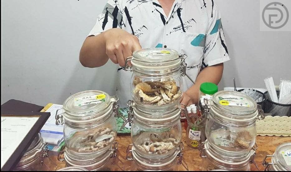 Мужчина арестован за продажу волшебных грибов в магазине каннабиса на Патонге
