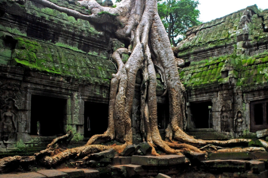 Ангкор в Камбодже на первом месте рейтинга самых интересных древних городов мира