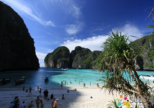 В Таиланде отдыхающих не пустят на пляж, где снимался фильм «Пляж»