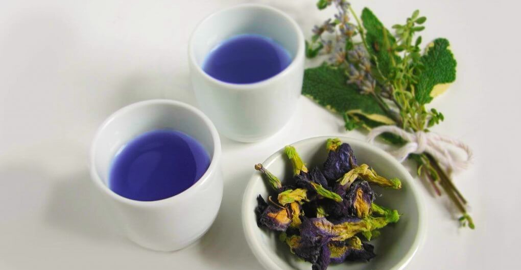 Секрет популярности синего тайского чая