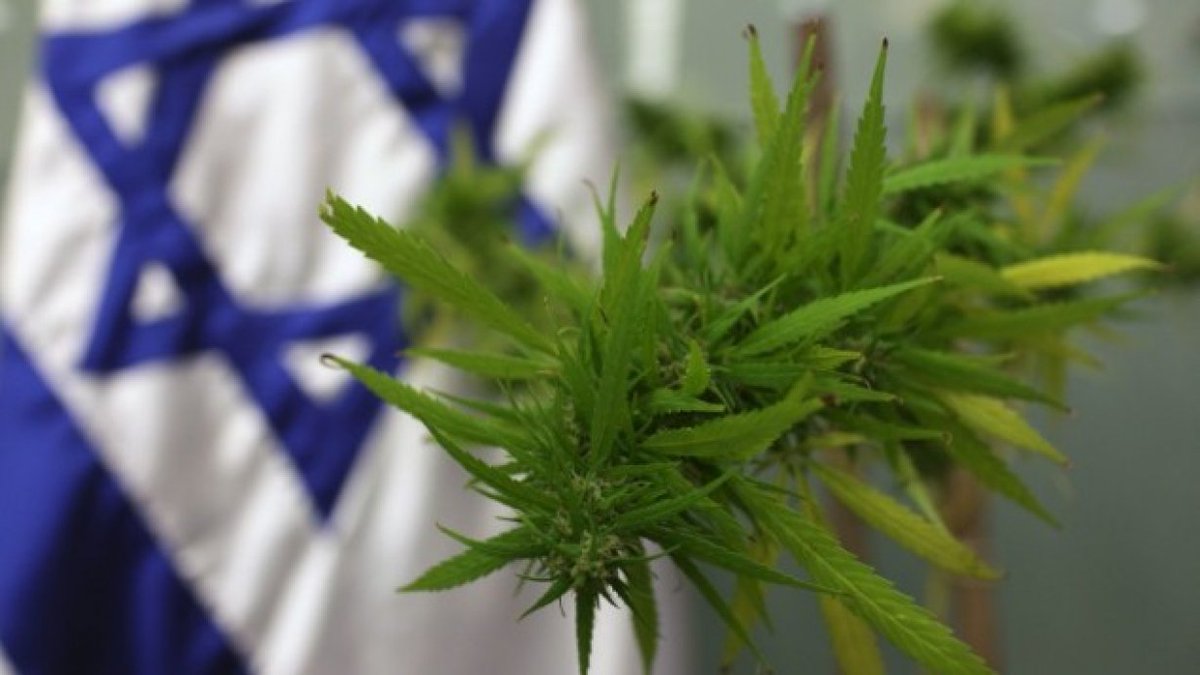 Отношение в Израиле к употреблению марихуаны