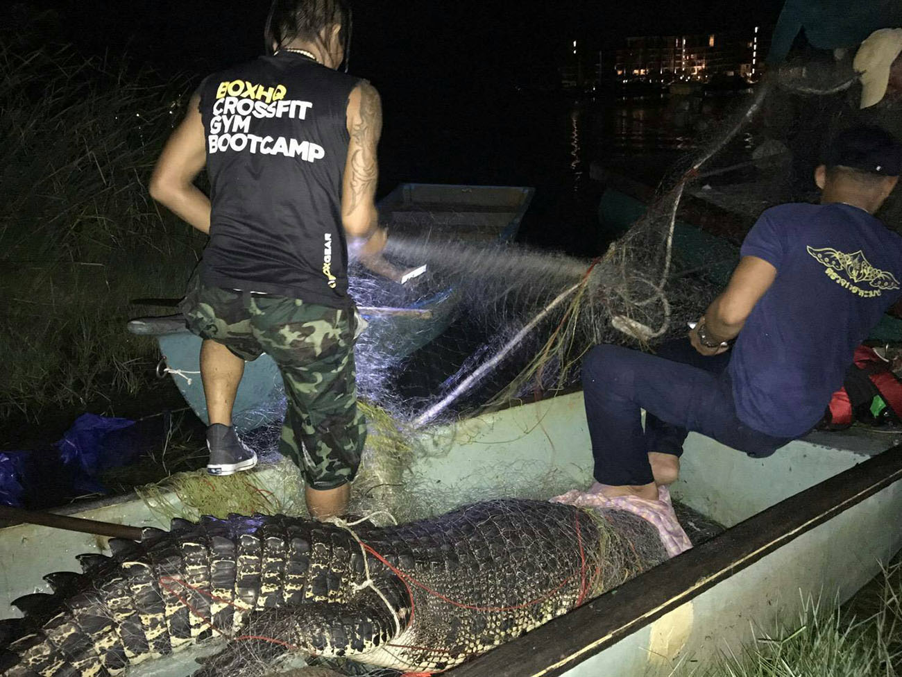 Пхукетский крокодил пойман