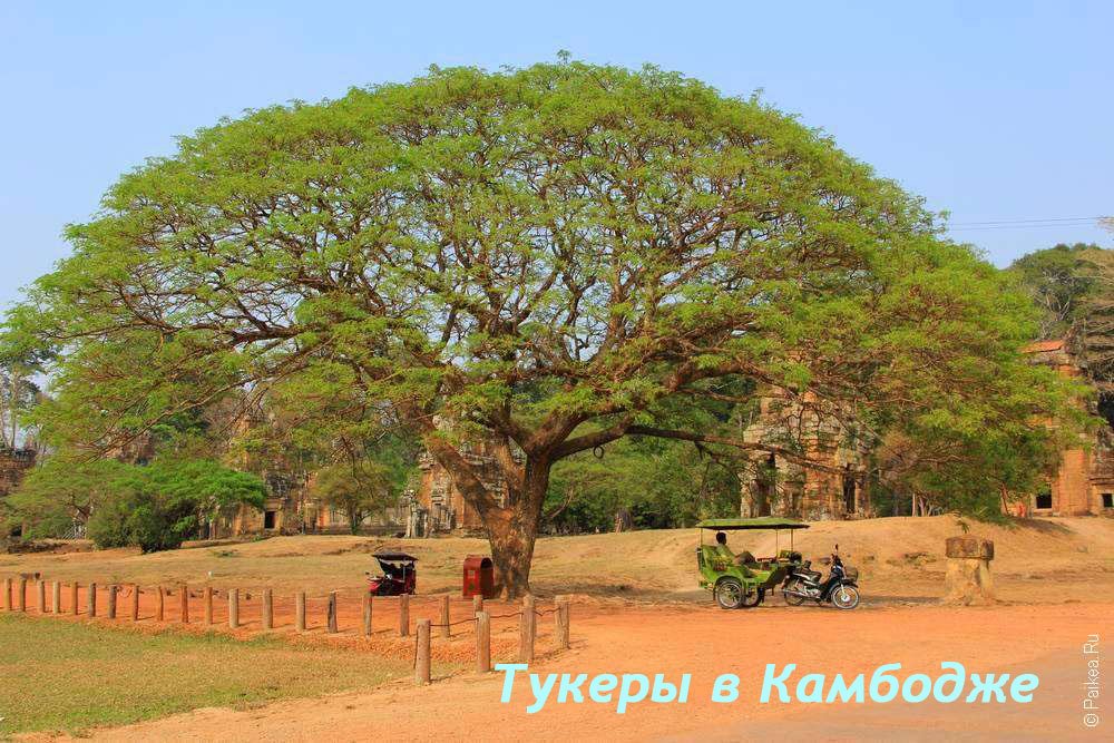 Тук-тук в Камбодже: где найти тукера в Сием Рипе для экскурсии в Ангкор