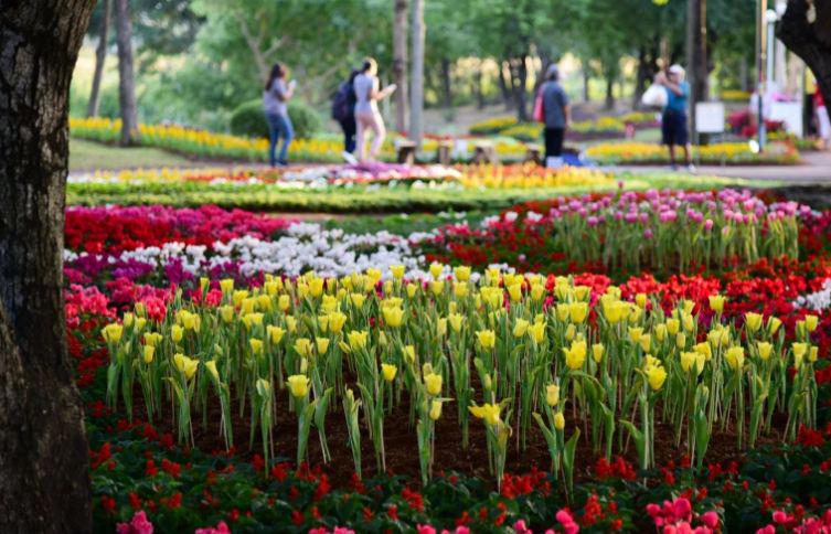 Более 300 тысяч человек посетили международный фестиваль цветов в Таиланде