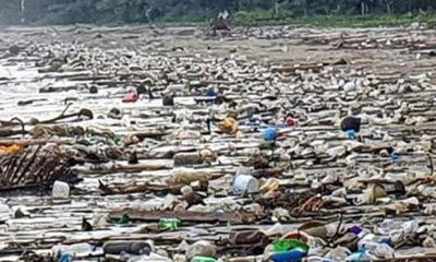 Тайский эколог нашёл самый грязный пляж в стране