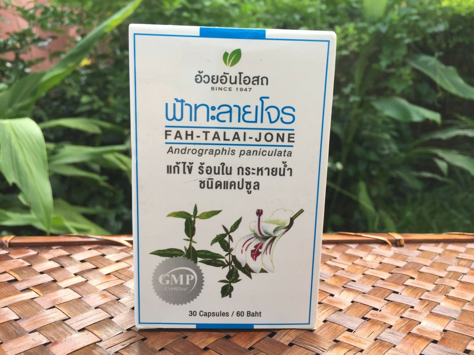 Таиланд одобрил траву чиретта в качестве лекарства от COVID-19