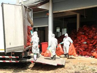 Паттайя начала вывоз опасных медицинских отходов из Као-Майкэо