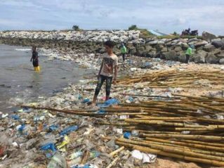 На пляже в Саттахипе началась экологическая катастрофа