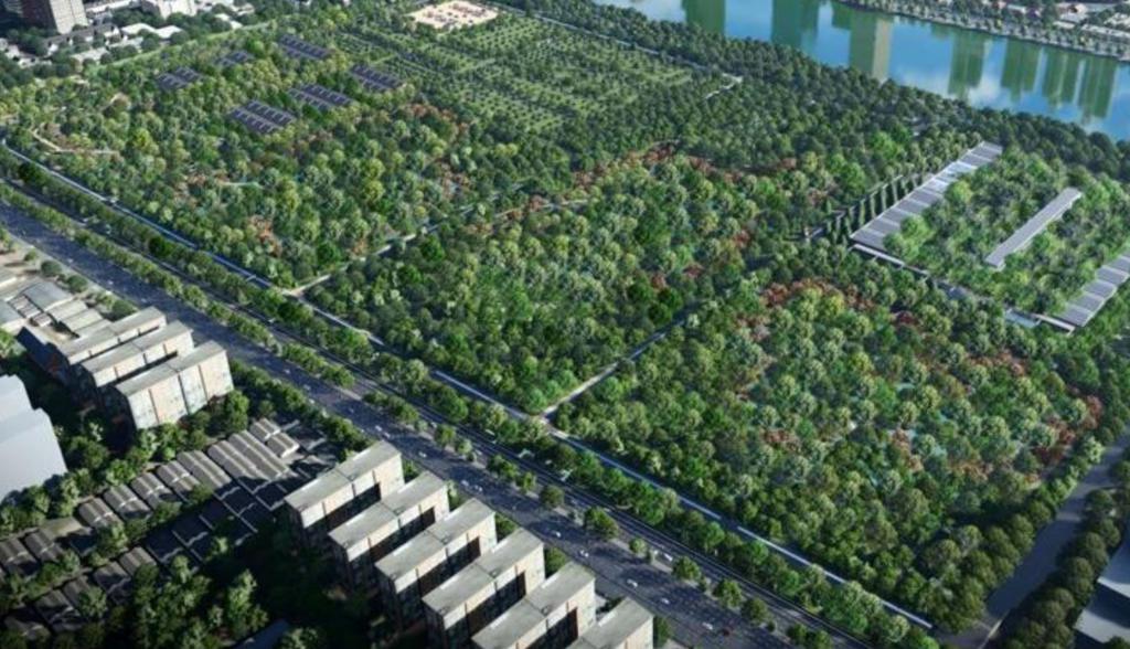 "Каменные джунгли" Бангкока будут дополнены ещё одним зелёным оазисом