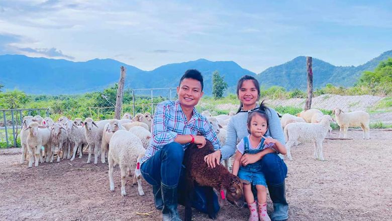 Туристы в Камбодже стекаются на ферму горных овец, чтобы сфотографировать идеальные пейзажи